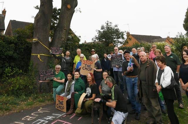 Campaigners are doing all they can to save the tree