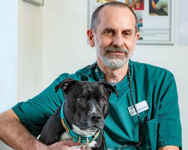 Eric the Staffordshire Bull Terrier with Vet Giuseppe Palatucci, who saved the dogs life after he suffered hyperthermia from falling in owners freezing cold swimming pool.