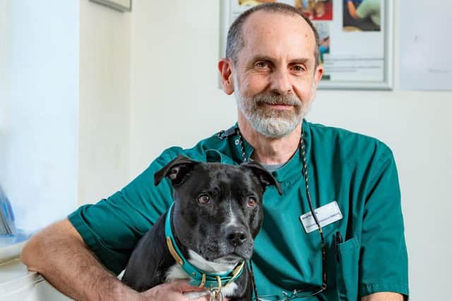 Eric the Staffordshire Bull Terrier with Vet Giuseppe Palatucci, who saved the dogs life after he suffered hyperthermia from falling in owners freezing cold swimming pool.