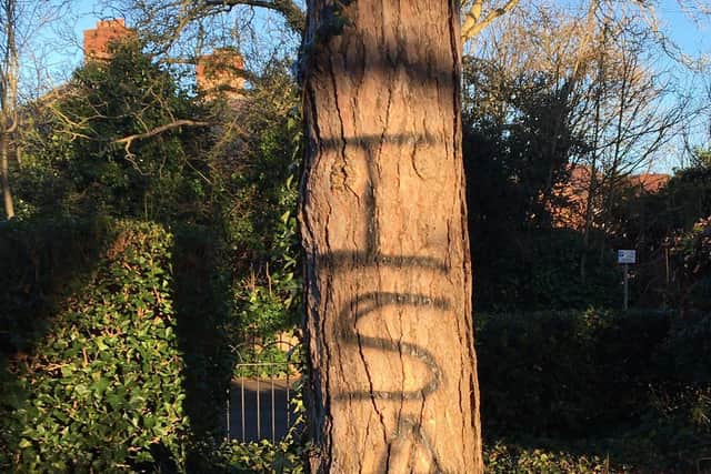 Trees damaged by vandal. Pic: Richard Ferris