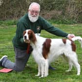 Robert Mapletoft, 75, from Peterborough, and his Irish Red and White Setter Roanjora Tanqueray - known as Raic.
