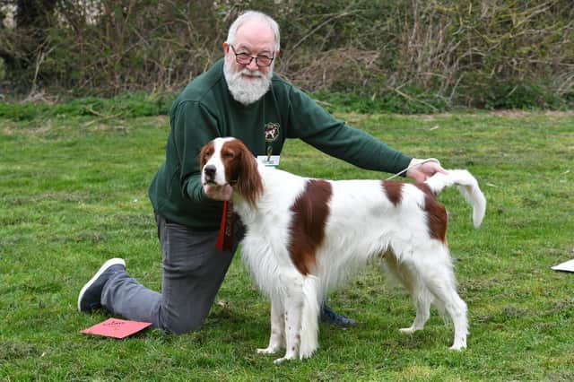 Robert Mapletoft, 75, from Peterborough, and his Irish Red and White Setter Roanjora Tanqueray - known as Raic.