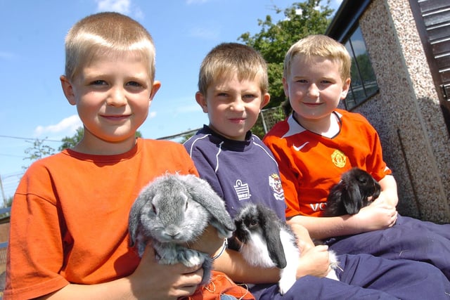 Youngsters help out with animals at New Ark play scheme. 
Max Brown (7), Robert Bellamy (8) Liam Fitzjohn (10) look after rabbits