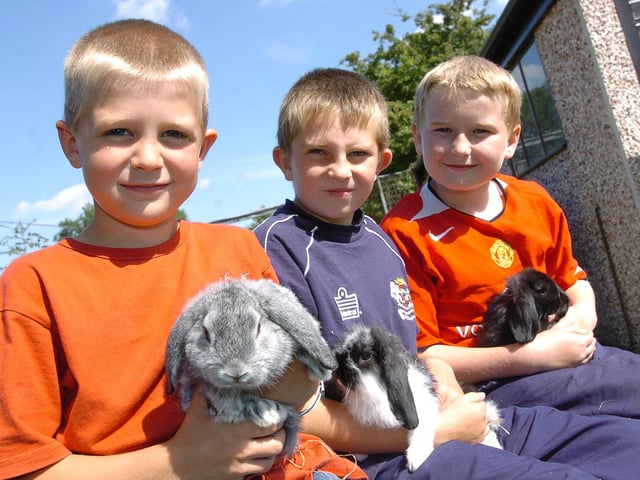 Youngsters help out with animals at New Ark play scheme.
Max Brown (7), Robert Bellamy (8) Liam Fitzjohn (10) look after rabbits