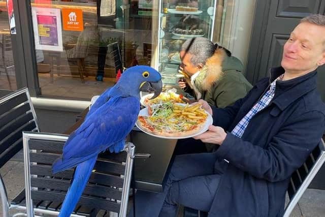 An unusual customer at The Pizza House in Cowgate