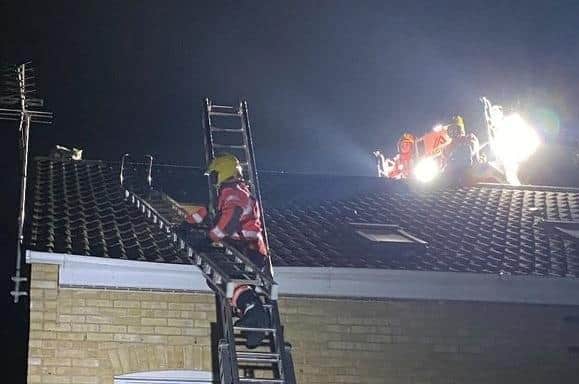 Fire crews rescue the cat from a roof