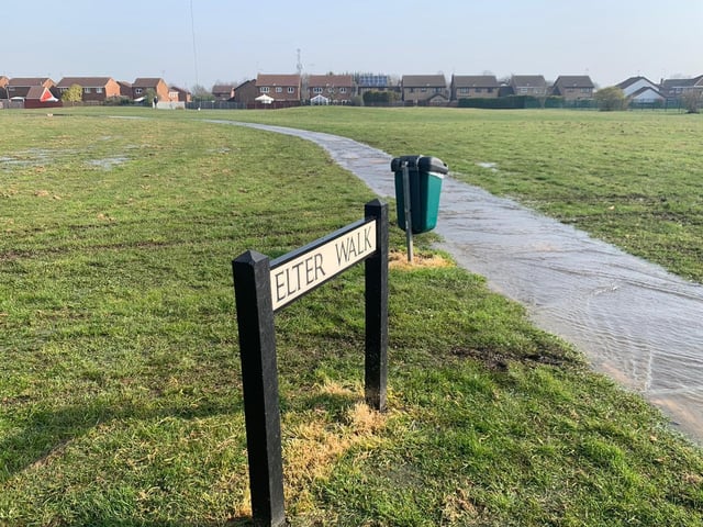 Water has been gushing into the parkland.