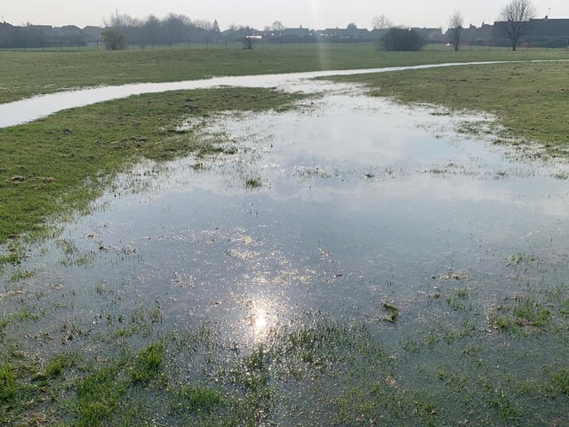The park land has been partially flooded by shallow water.