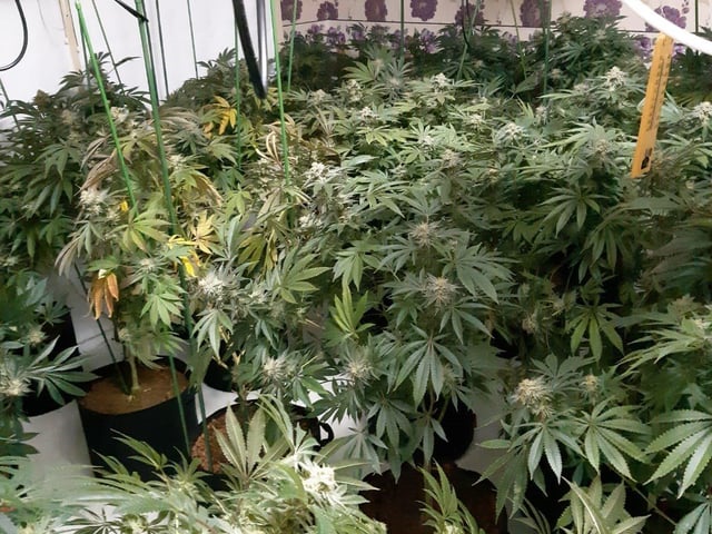 Some of the drugs found by officers