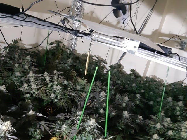 Some of the drugs found by officers