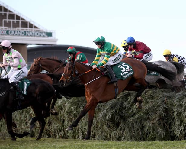 MInella Times (green) on the way to Grand National success last year.  Photo: Tim Goode/Getty Images.