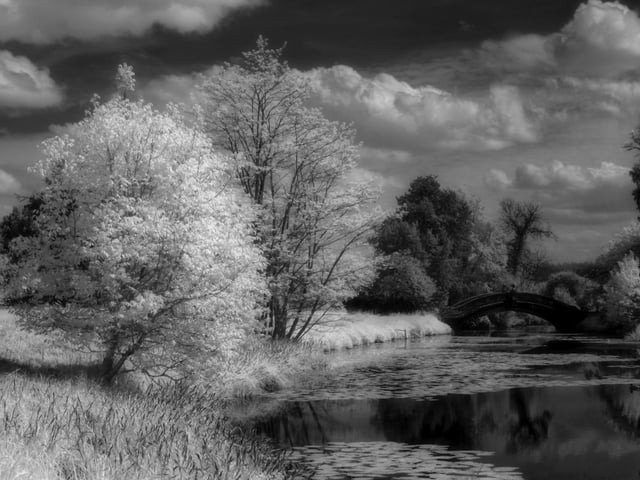 Shades of monet