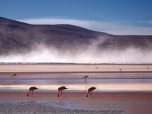 Crimson Lake