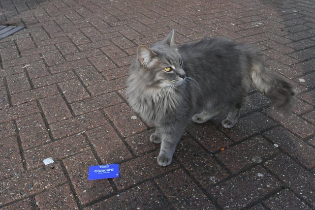 Frank with his Tesco Clubcard.