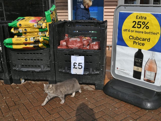 Frank outside Tesco.