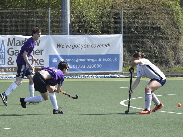 Brummitt hockey tournament at Bretton Gate. Action from Jurassic Beavers v Festival team. Photo: David Lowndes