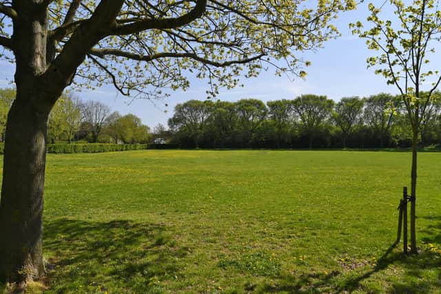 The green space on which the car park has been proposed.