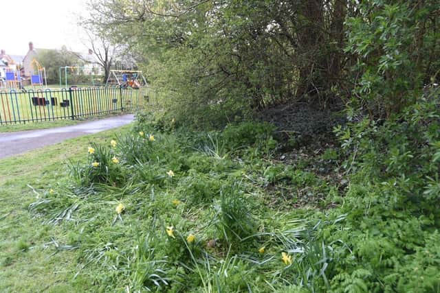 The body of a man was discovered on an area of land near the Regional Pool on the Embankment. Picture: David Lowndes