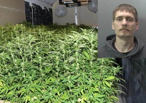 Donatas Sungaila and some of the cannabis found at the home