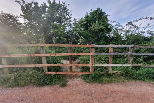 The recently fixed fence close to the lake.