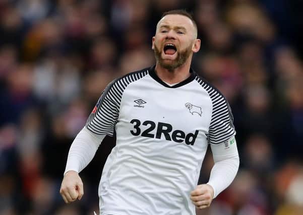 Derby County manager Wayne Rooney. Photo: Richard Heathcote/Getty Images.