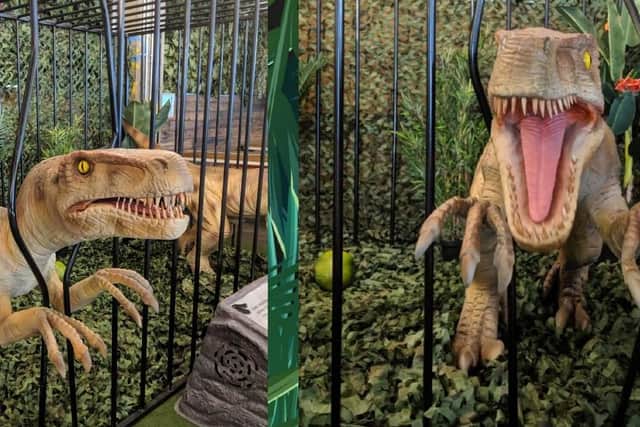 Look out for the Dino Event coming to Queensgate in Peterborough later this month