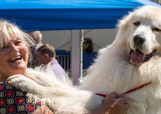 The Championship Dog Show runs July 8 to 11.