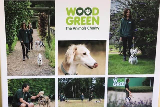 Wood Green's Pics on Canvas partnership