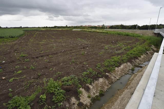 Farmland behind Horsey Toll Bridge on Whittlesey Road, Stanground which could be set for development. EMN-210713-162147009