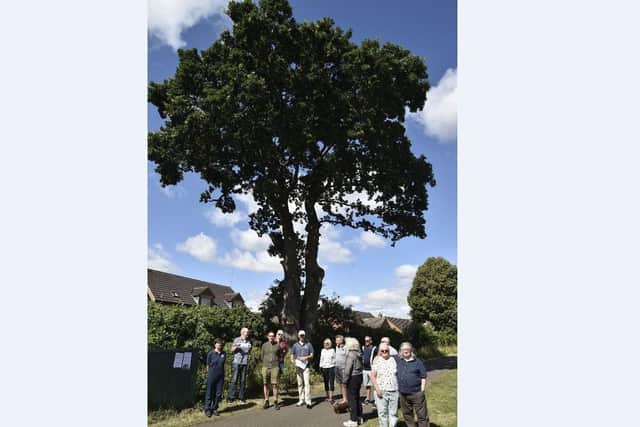 Protestors infront of the tree.