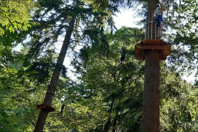 Brad Barnes visits Go Ape at Thetford Forest