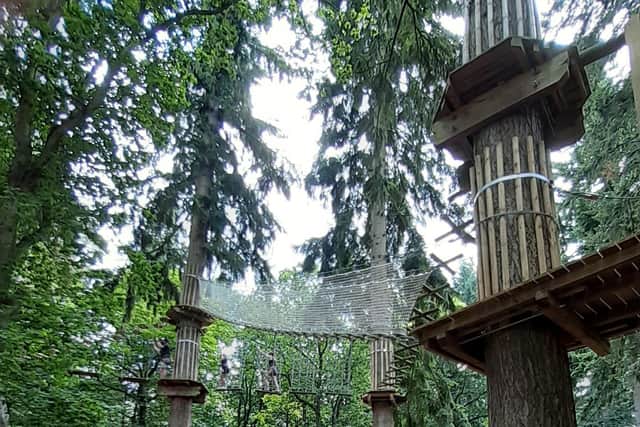 Brad Barnes visits Go Ape at Thetford Forest