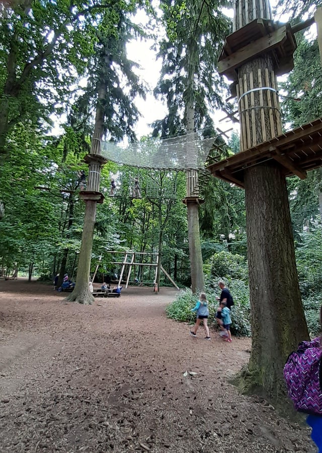 Go Ape It S Tree Mendous Family Fun In The Forest Peterborough Telegraph