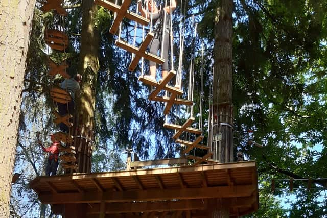 Brad Barnes visits Go Ape at Thetford Forest