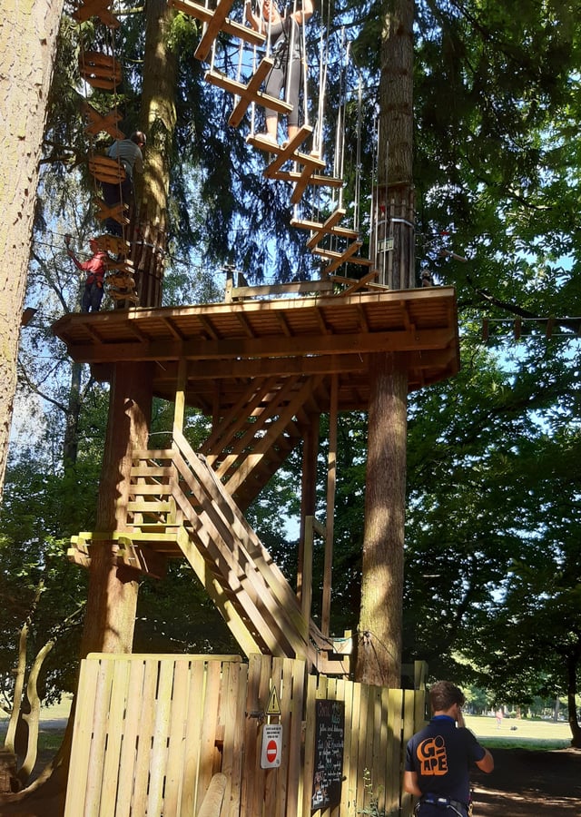 Go Ape It S Tree Mendous Family Fun In The Forest Peterborough Telegraph