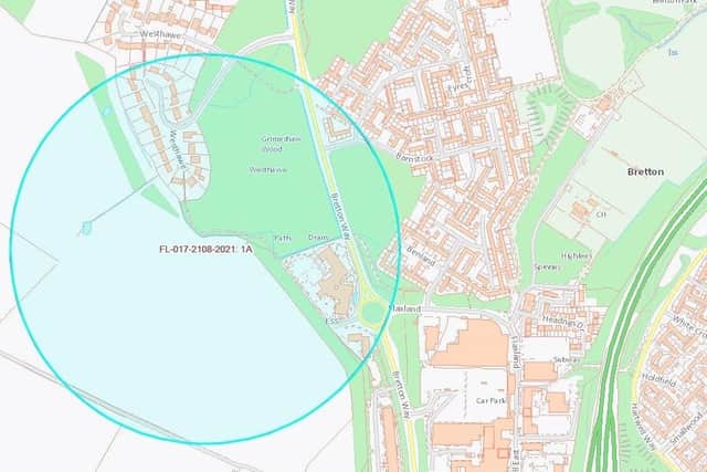 The area where the proposed tree felling would take place.