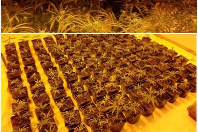 Some of the drugs found