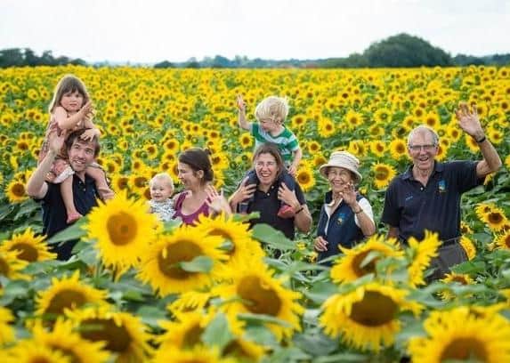 Nicholas Watts and his family with their sunflowers. Picture: Matthew Roberts