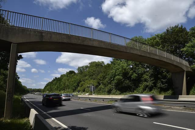 Nene Parkway.