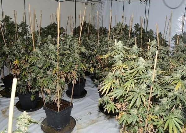 The cannabis factory found in Church Drive, Orton Waterville.
