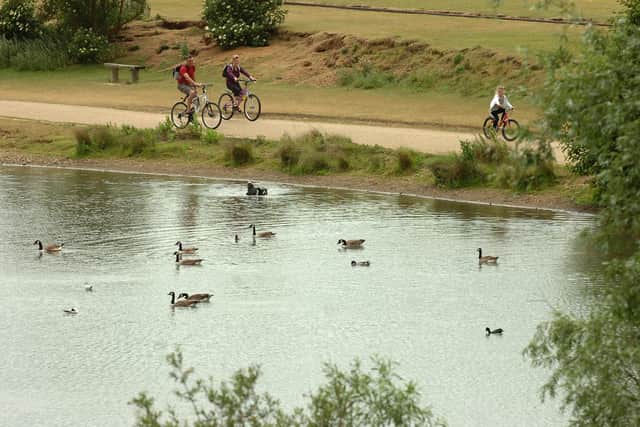 Ferry Meadows park