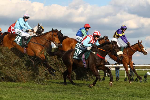 Tim Forster Racing Our expert's pinstickers' guide to all the Grand National runners at ...