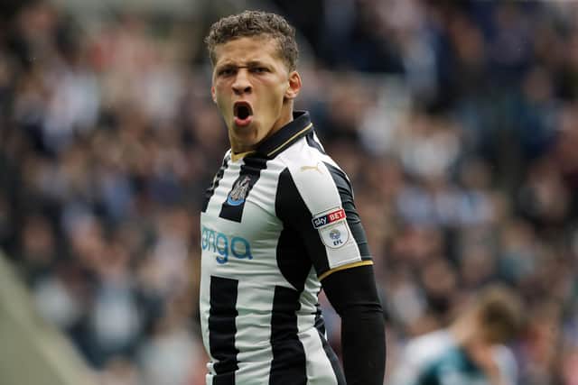 Dwight Gayle in Newcastle United colours. Photo: Owen Humphreys/PA Wire