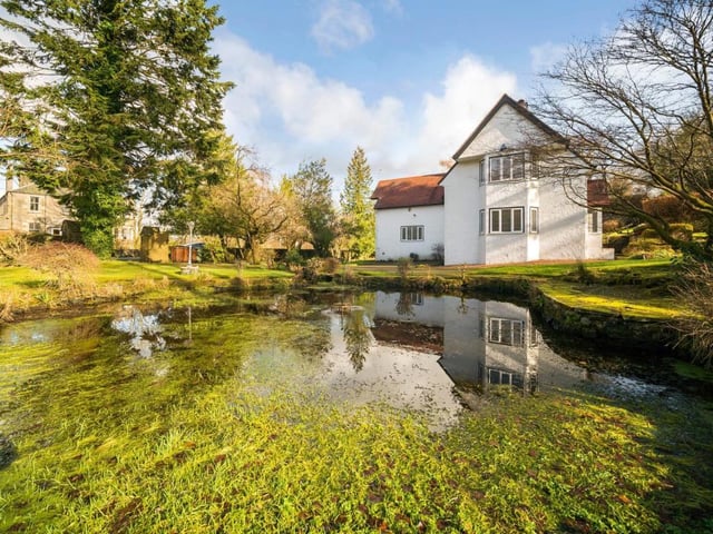 Garden pond.