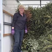 Volunteers will be collecting Christmas trees from people's homes.