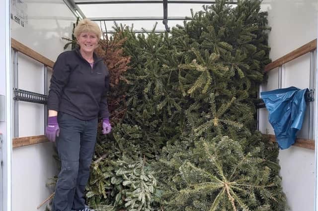 Volunteers will be collecting Christmas trees from people's homes.