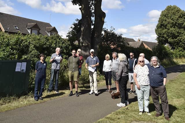 Protest gather in front of the oak tree in Ringwood, Bretton.