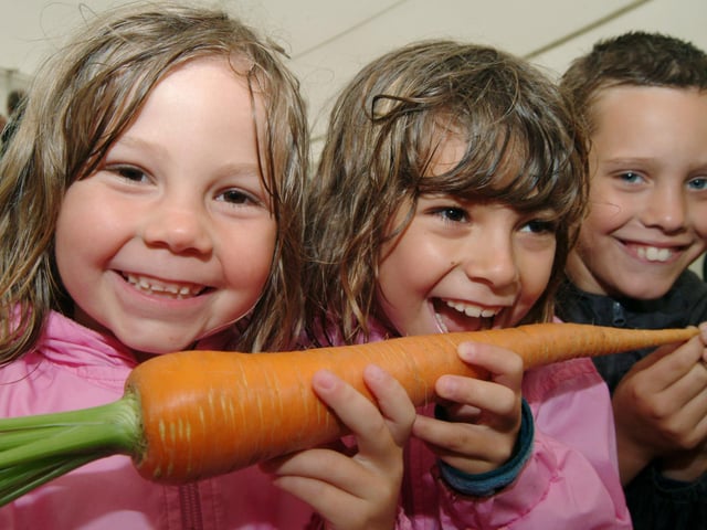 Reg Newton's prize winning long carrot was a hit with Mansfield youngsters, from the left; Aimee Mcloughlin 7, sister Shannon 8 and Thomas Christopher aged 9.