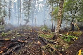 Firefighters tackling the peat fire at Holme, Peterborough