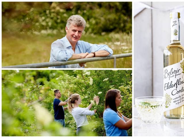 Pev Manners, founder of Belvoir Farms, top, has launched the company's annual elderflower harvest in Peterborough a fortnight early because of poor weather. The elderflowers are the key ingredient in the its signature Elderflower Cordial